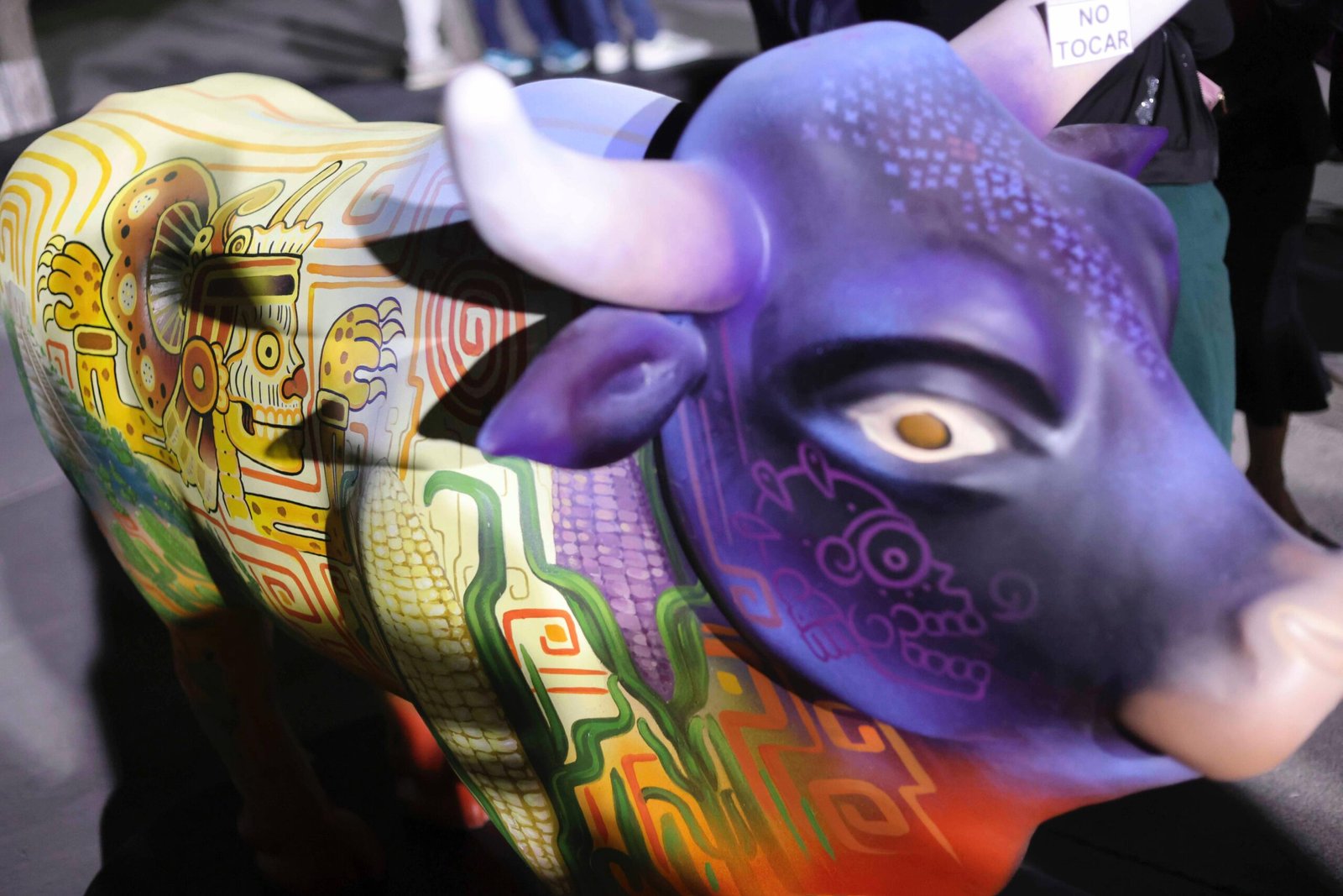 Imagen de WhatsApp 2025-11-11 a las 15.37.34_7a9aaee4