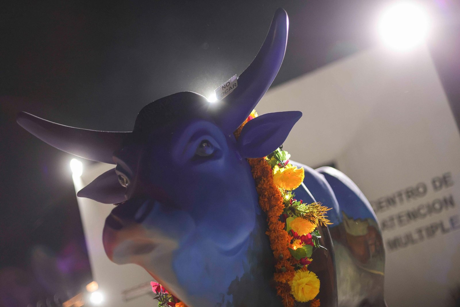 Imagen de WhatsApp 2025-11-11 a las 15.37.34_98fb4405