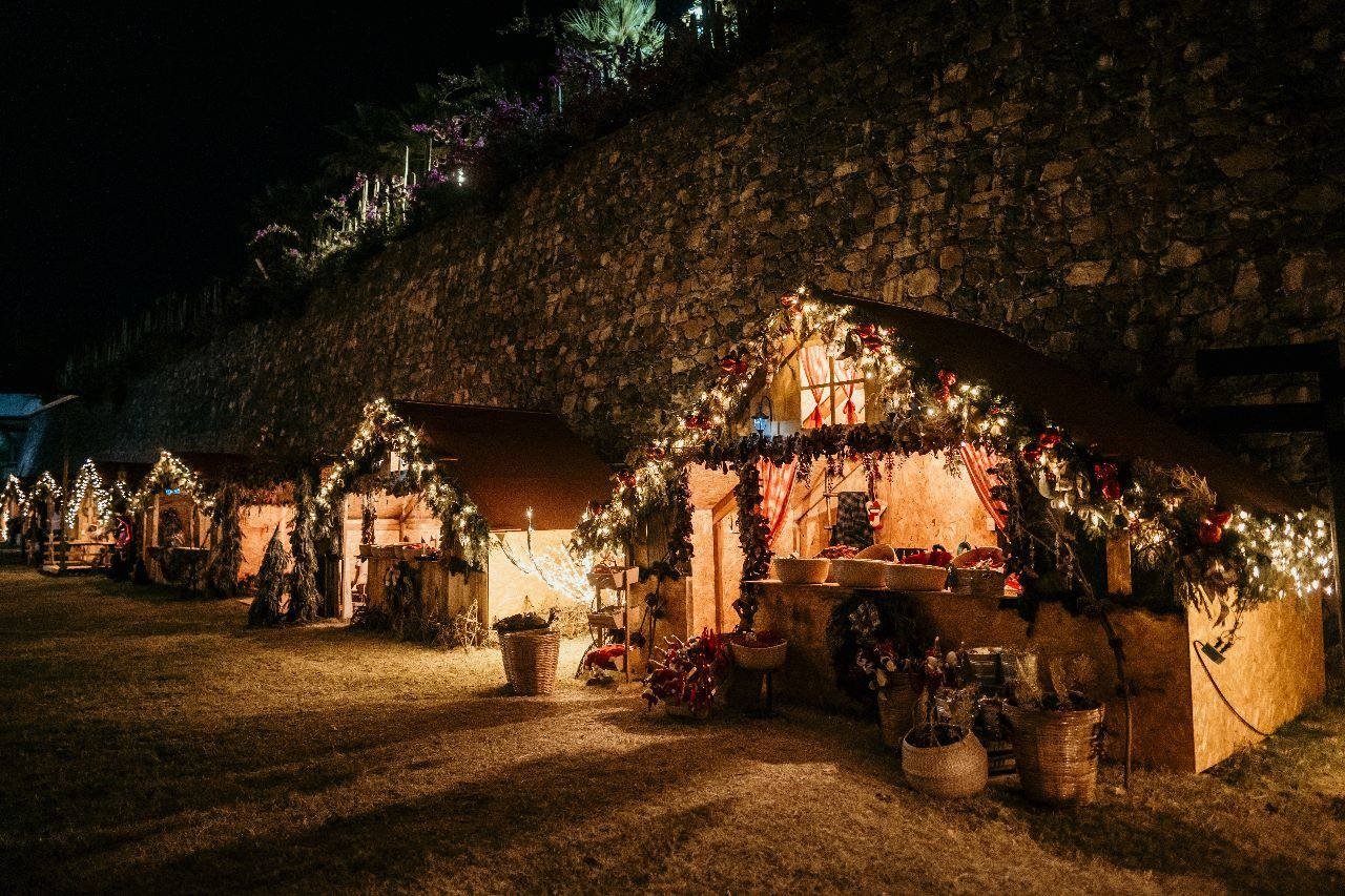 photo_5111844491035258631_y