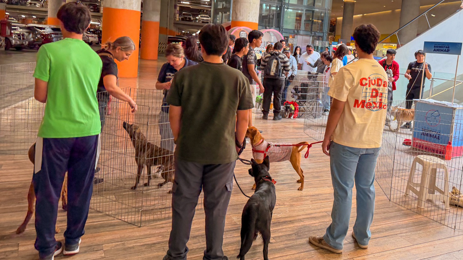 WhatsApp Image 2026-04-10 at 12.43.22