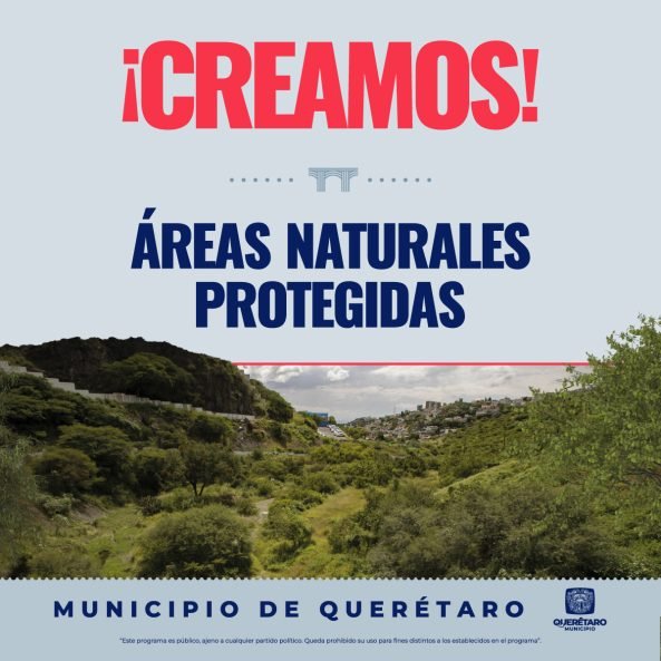 1200x1200_webs-creamos