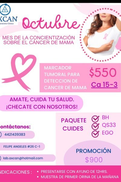 Imagen de WhatsApp 2025-10-03 a las 09.55.01_a631d8bd
